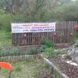 k-20150501_173037