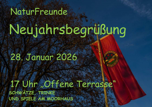 Bild1